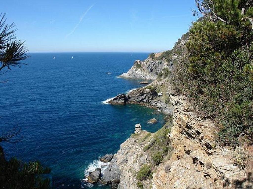 183 D20 PRESQU ILE DE GIENS 3_000016.jpg